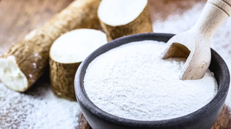 What Is Cassava Starch